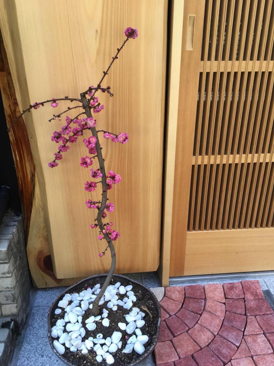 美築八坂 Apartment Kyoto Exterior photo